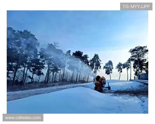 2025中国山马越野沈阳棋盘山站圆满收官掀起城市户外运动新高潮 2025中国山马越野沈阳棋盘山站圆满收官掀起城市户外运动新高潮